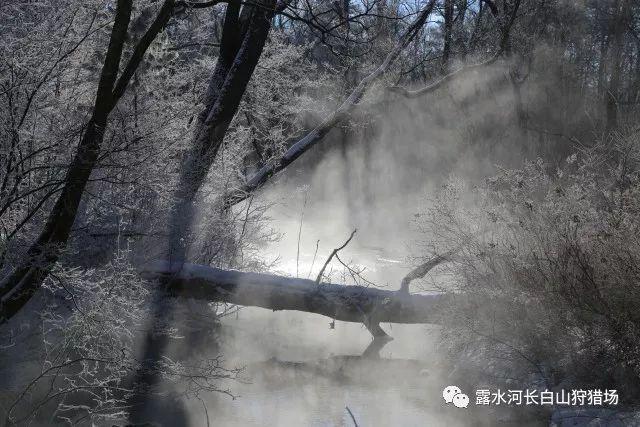 生化危机3