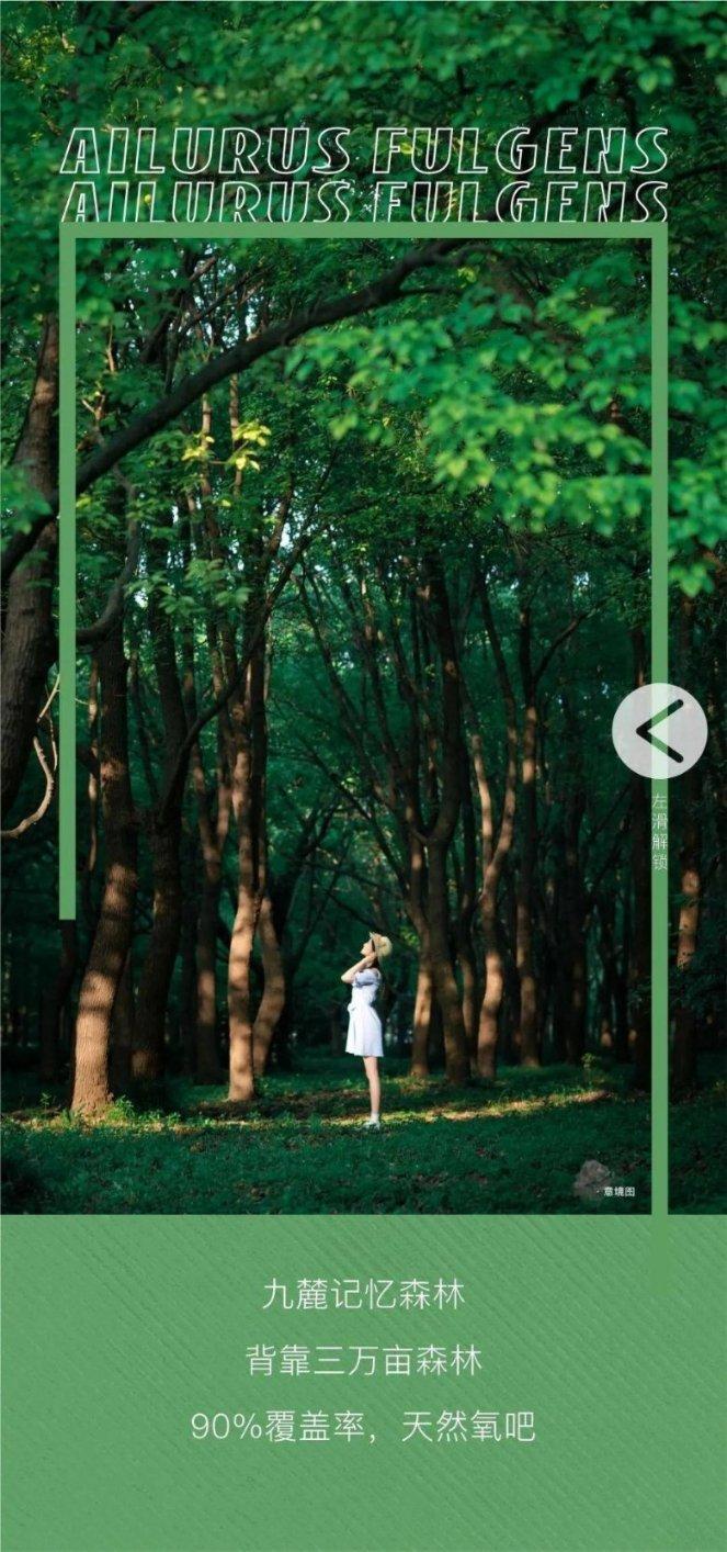 少女安娜的周末