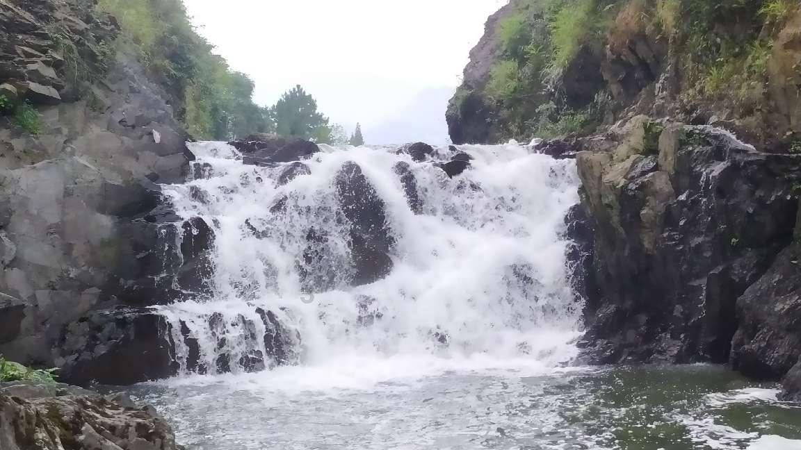 星动，只为你