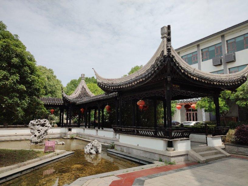 普洱茶:养生之道还是时尚消费品?探索中医技术与文化的多面性!