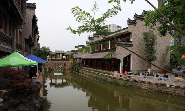 植物大战僵尸8